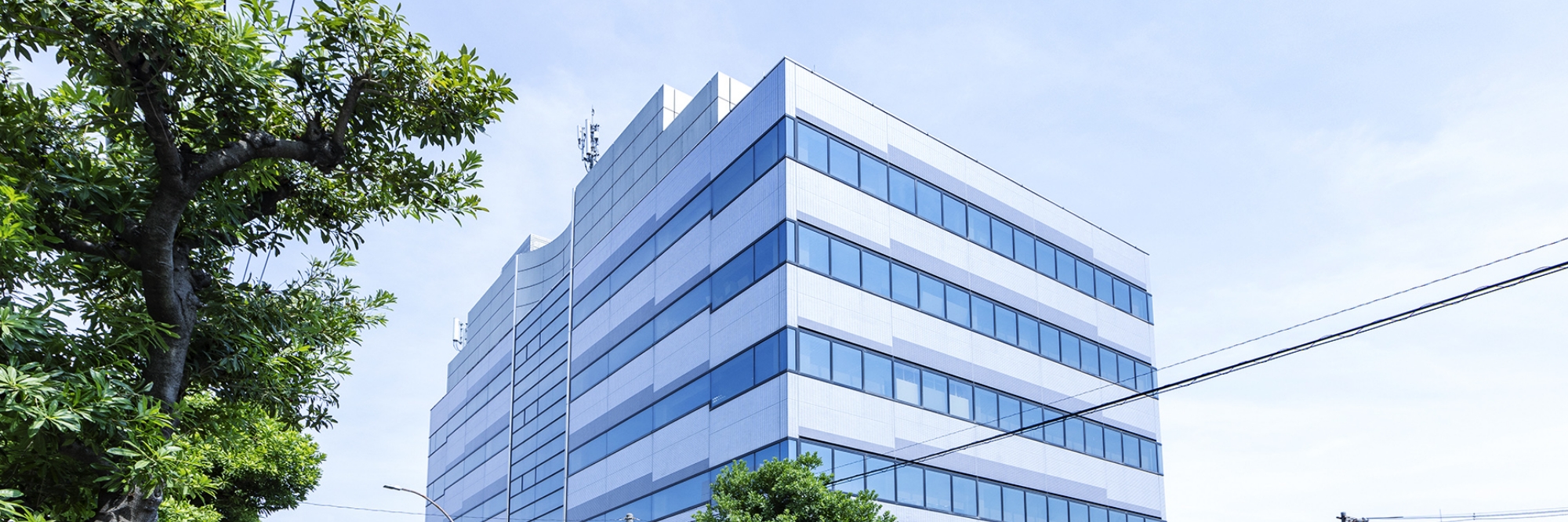 Work Style Talk Session